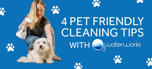 🐶 Safe For Your Pets, Too! 😸