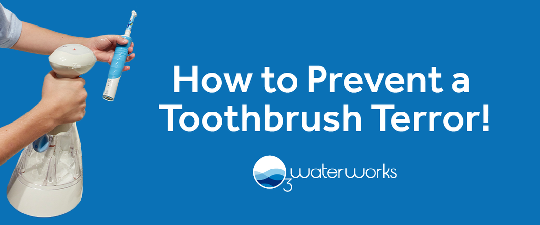 How to Prevent A Toothbrush Terror!