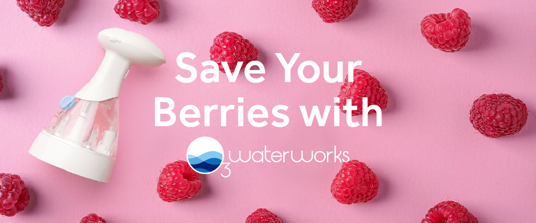 Save 🍓 Your 🍓 Berries 🍓